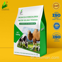 LINCOMYCIN HYDROCHLORIDE POWDER